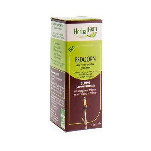 Herbalgem Esdoorn Maceraat 15ml