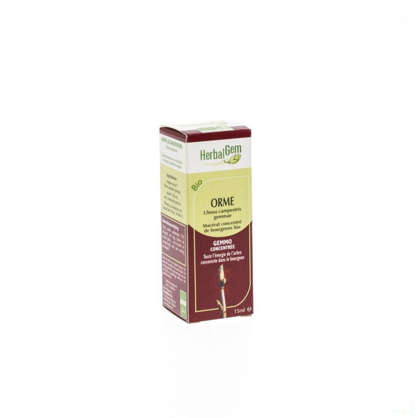 Herbalgem Olm Maceraat 15ml - Herbalgem - InstaCosmetic