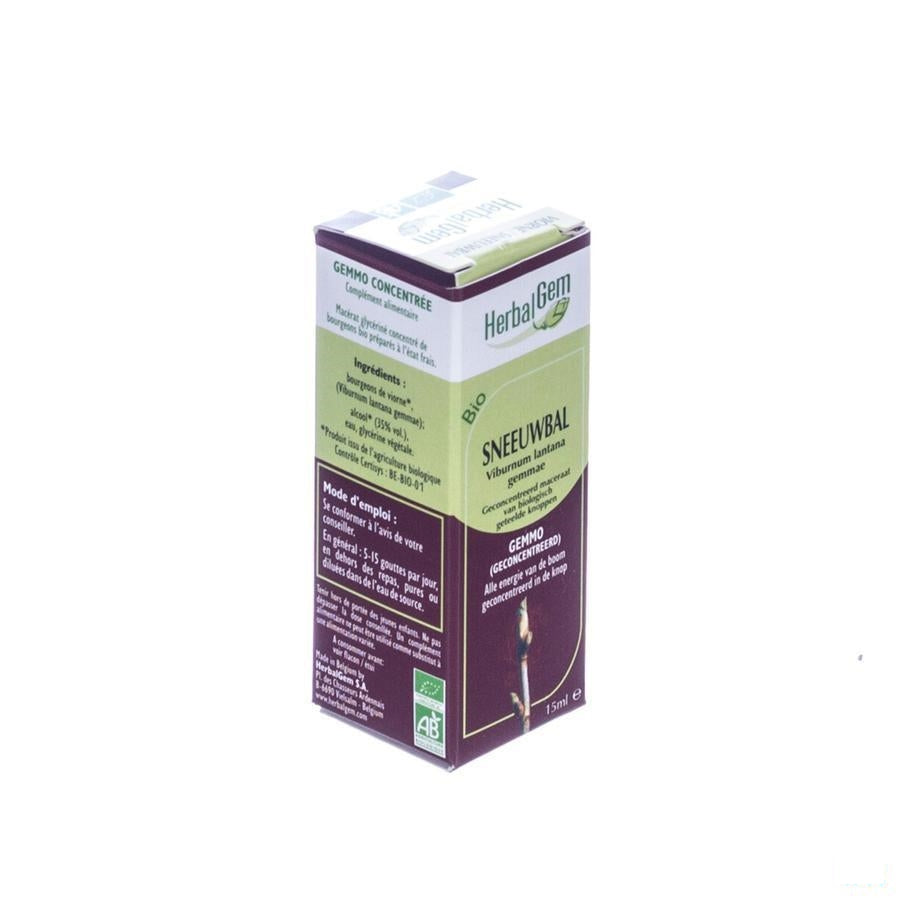 Herbalgem Wollige Sneeuwbal Maceraat 15ml