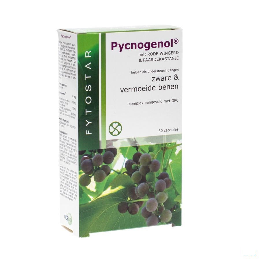 Fytostar Pycnogenol Capsules 30 7587